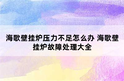 海歌壁挂炉压力不足怎么办 海歌壁挂炉故障处理大全